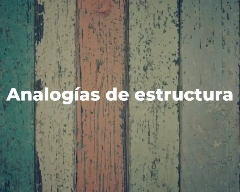 Analogías de estructura