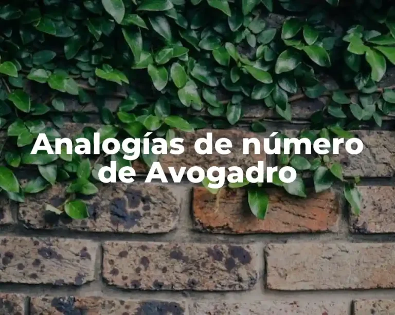 Analogías de número de Avogadro