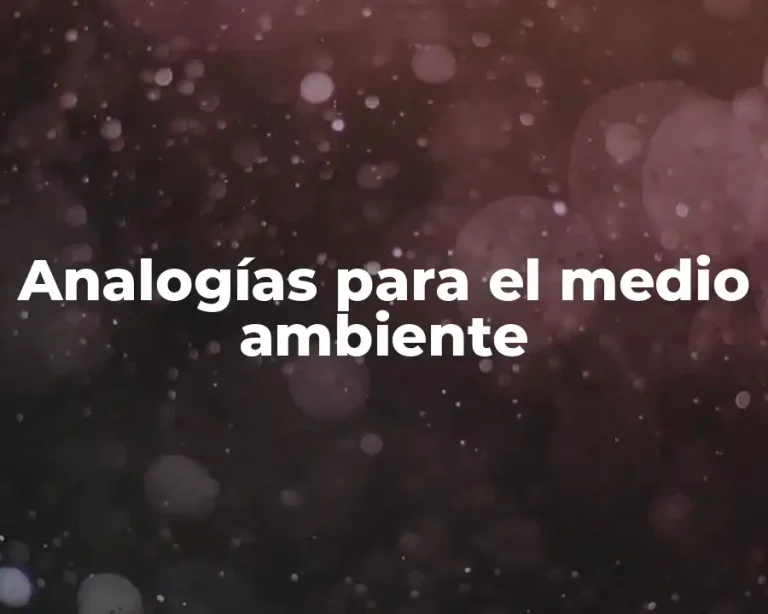 Analogías para el medio ambiente