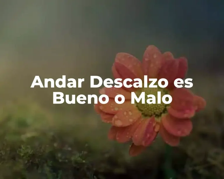 Andar Descalzo es Bueno o Malo