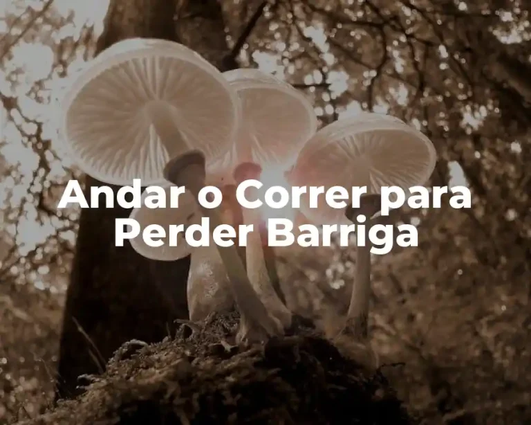 Andar o Correr para Perder Barriga