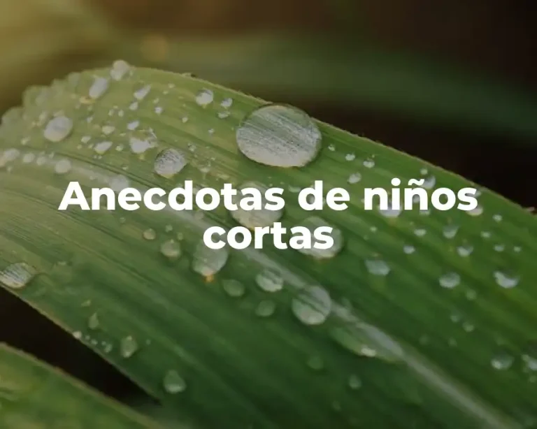 Anecdotas de niños cortas