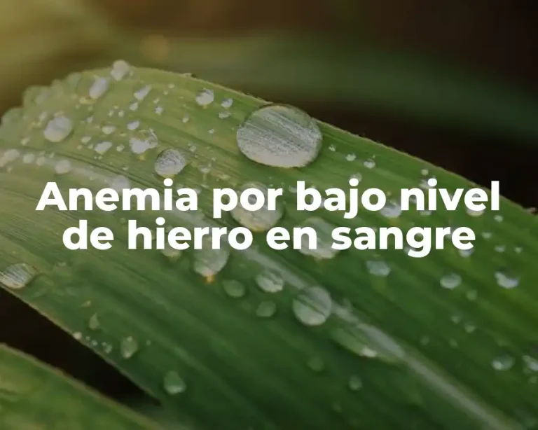 Anemia por bajo nivel de hierro en sangre