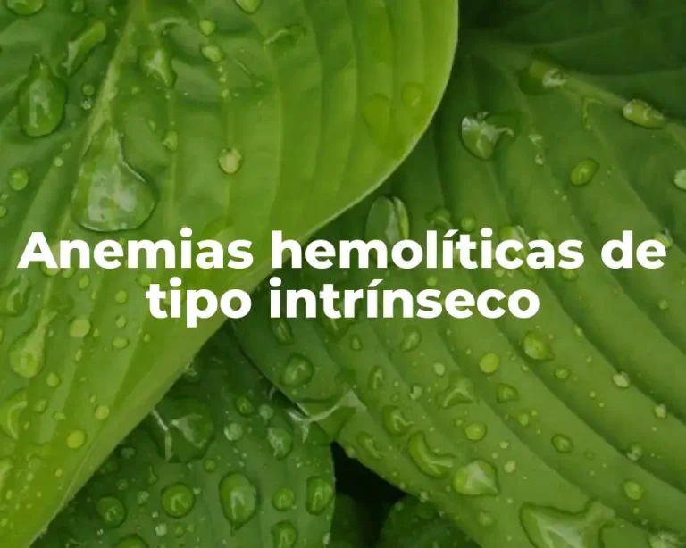 Anemias hemolíticas de tipo intrínseco