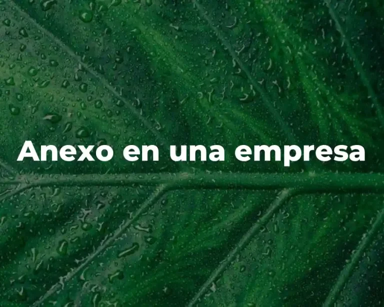 Anexo en una empresa