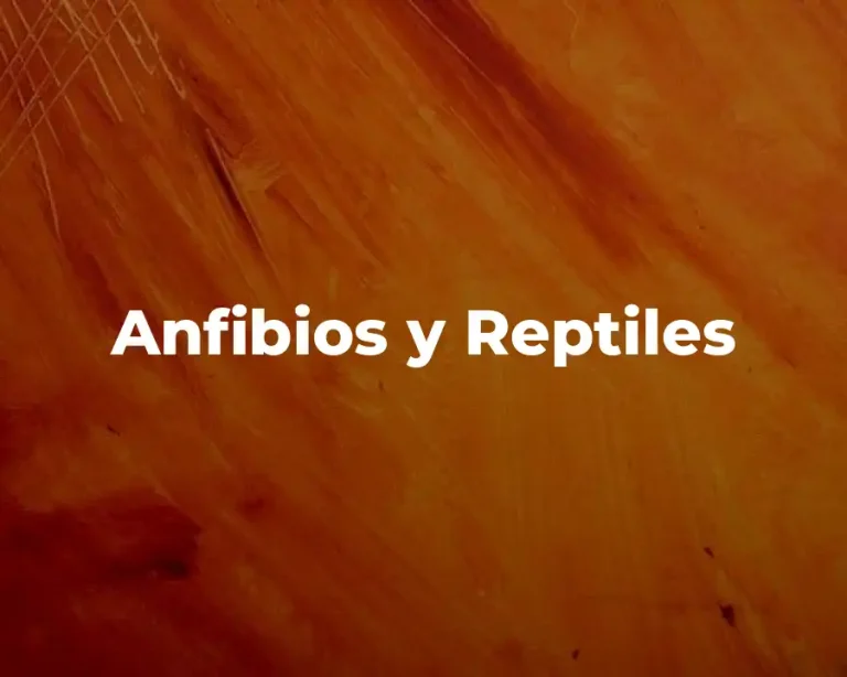 Anfibios y Reptiles