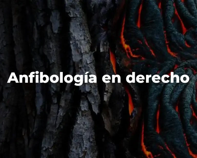 Anfibología en derecho