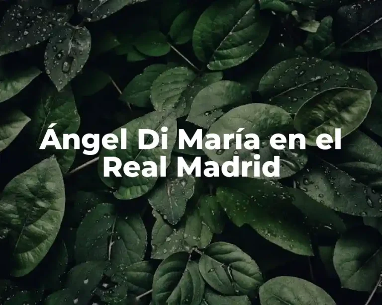 Ángel Di María en el Real Madrid
