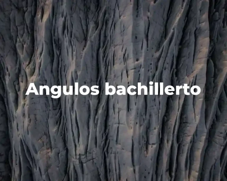 Angulos bachillerto