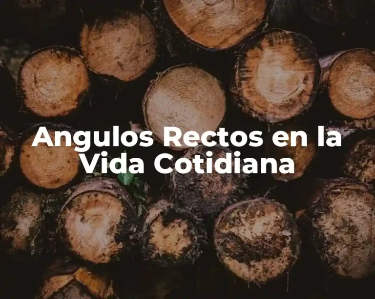 Angulos Rectos en la Vida Cotidiana