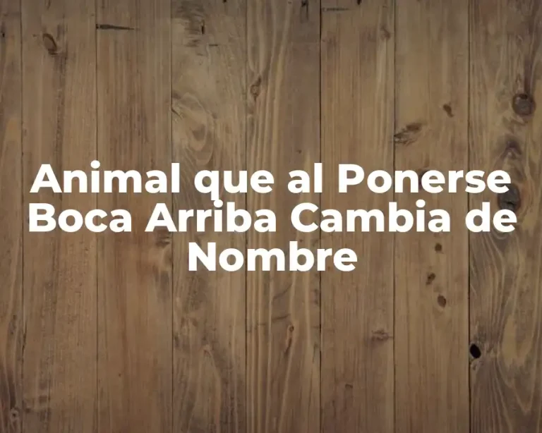 Animal que al Ponerse Boca Arriba Cambia de Nombre