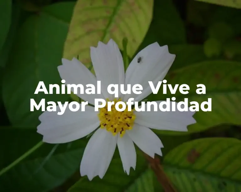 Animal que Vive a Mayor Profundidad