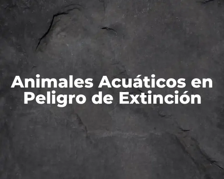 Animales Acuáticos en Peligro de Extinción