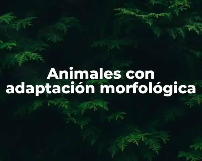 Animales con adaptación morfológica