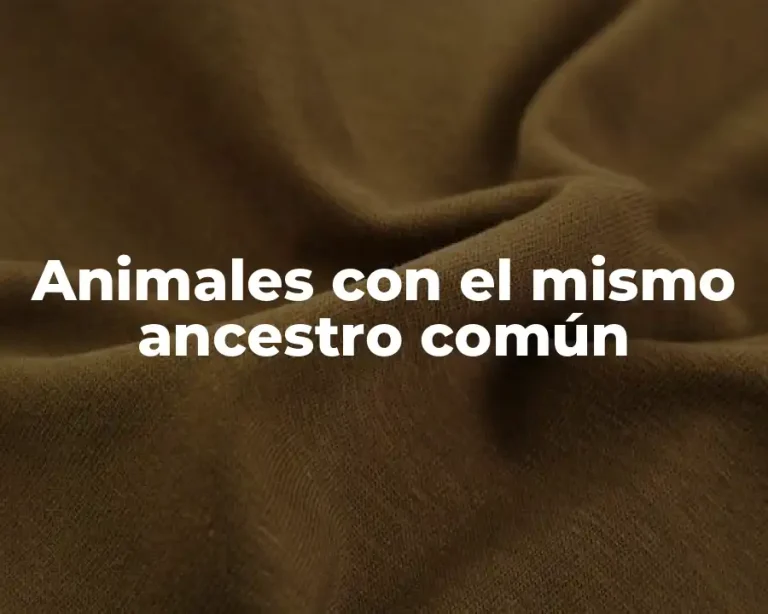 Animales con el mismo ancestro común