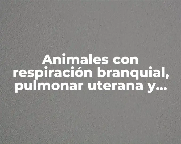 Animales con respiración branquial, pulmonar uterana y traqueal