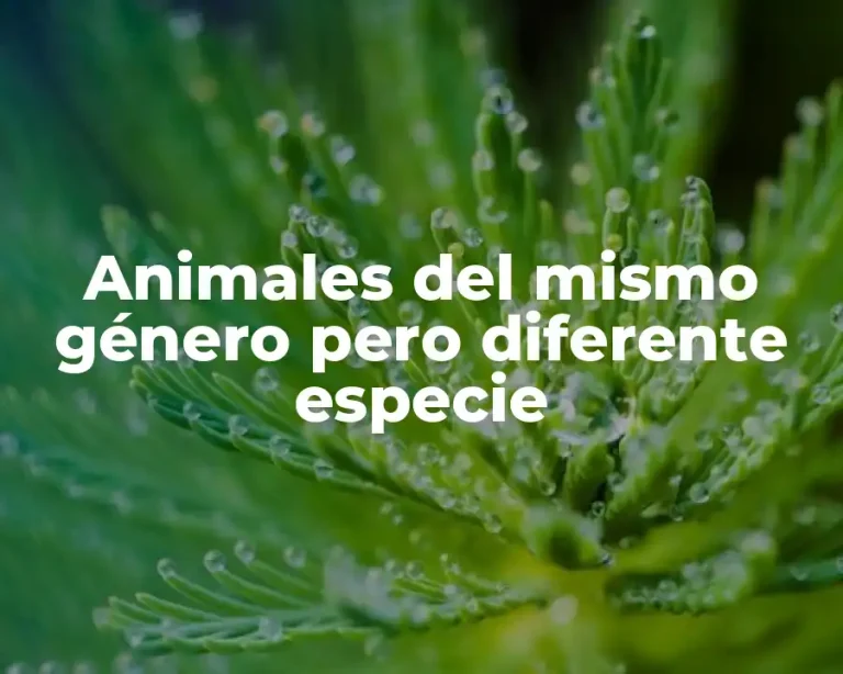 Animales del mismo género pero diferente especie