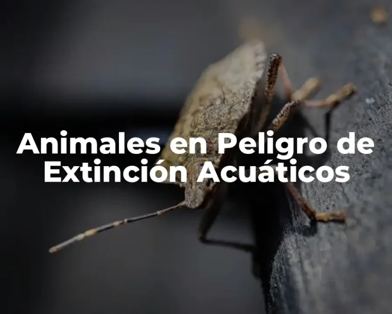 Animales en Peligro de Extinción Acuáticos