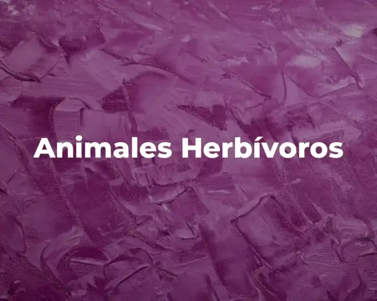 Animales Herbívoros