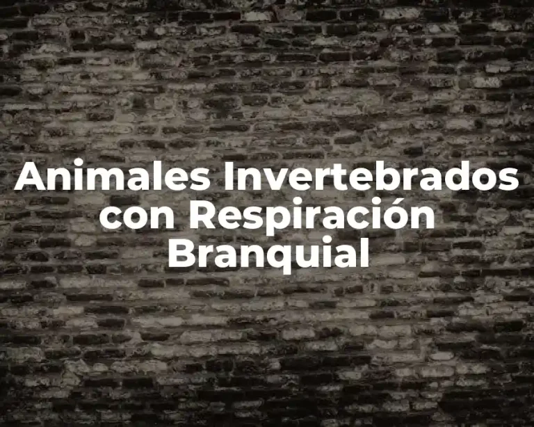 Animales Invertebrados con Respiración Branquial