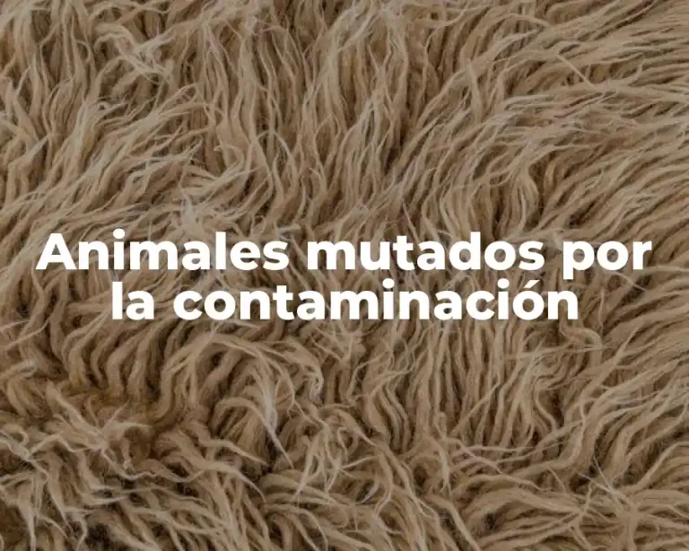 Animales mutados por la contaminación