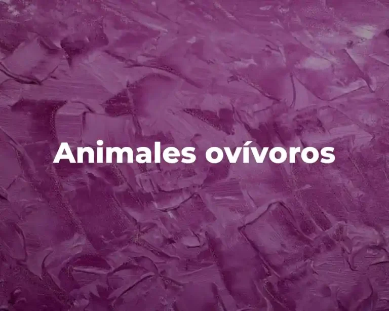 Animales ovívoros