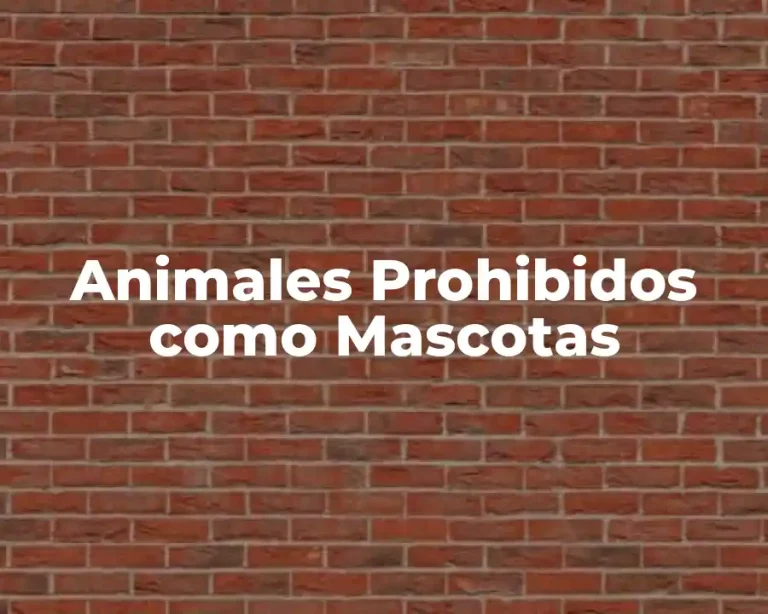 Animales Prohibidos como Mascotas