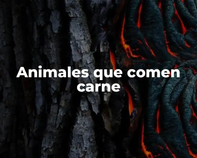 Animales que comen carne