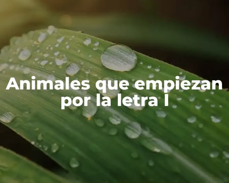 Animales que empiezan por la letra I