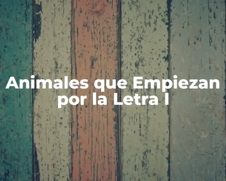 Animales que Empiezan por la Letra I