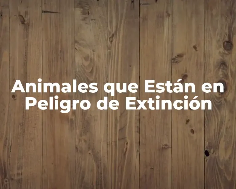 Animales que Están en Peligro de Extinción