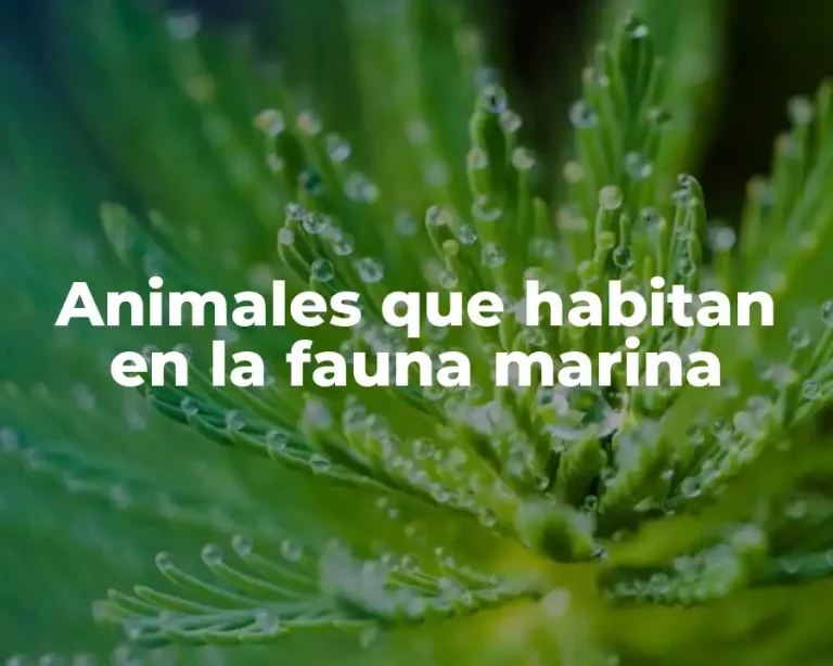 Animales que habitan en la fauna marina