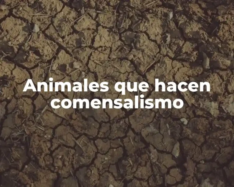 Animales que hacen comensalismo