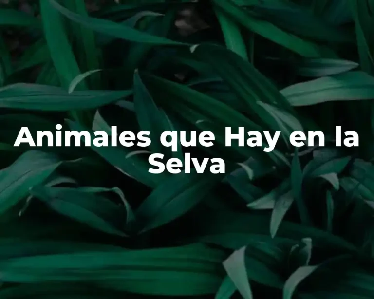 Animales que Hay en la Selva
