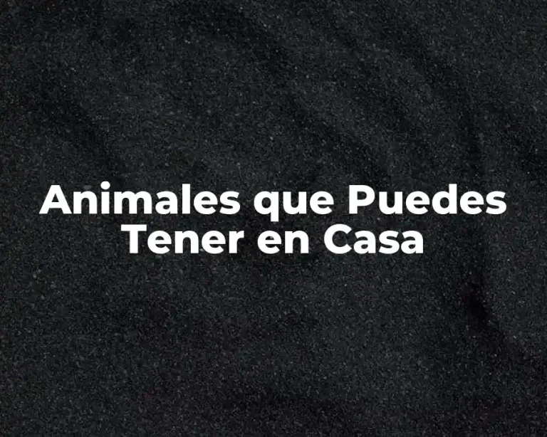 Animales que Puedes Tener en Casa