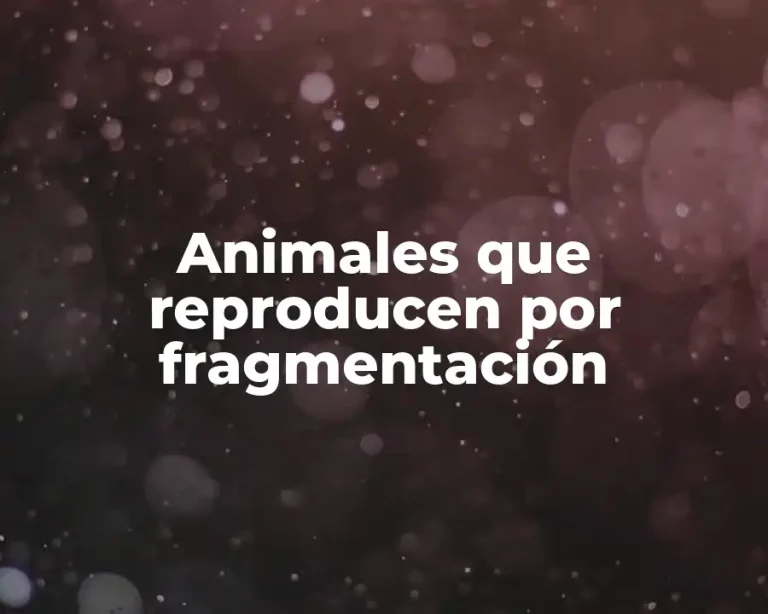 Animales que reproducen por fragmentación