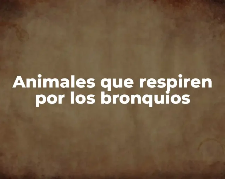 Animales que respiren por los bronquios