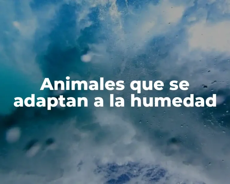 Animales que se adaptan a la humedad