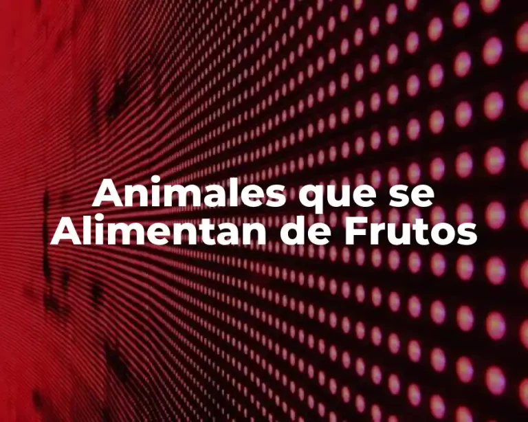 Animales que se Alimentan de Frutos