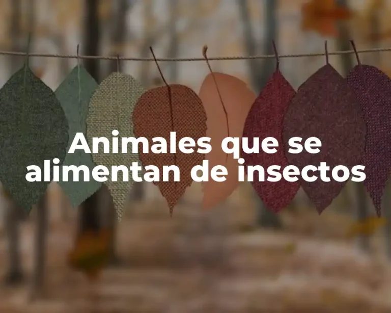 Animales que se alimentan de insectos