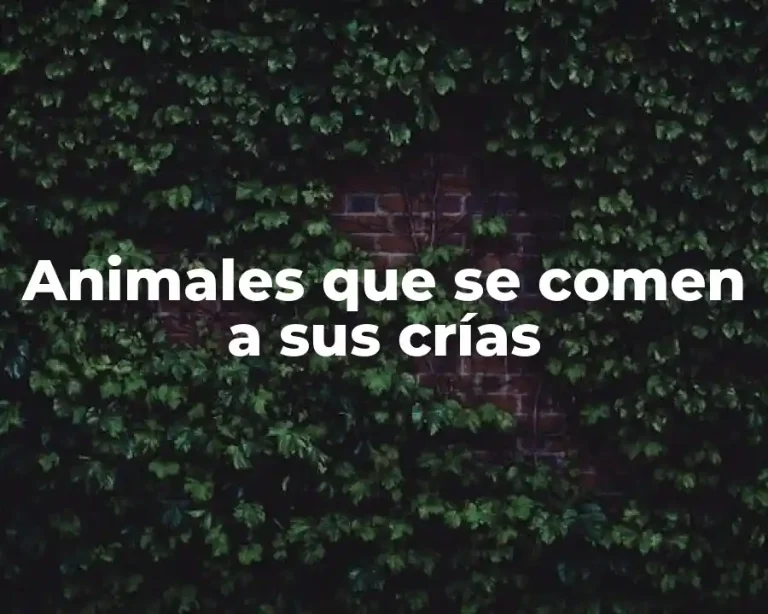 Animales que se comen a sus crías