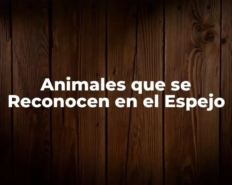 Animales que se Reconocen en el Espejo