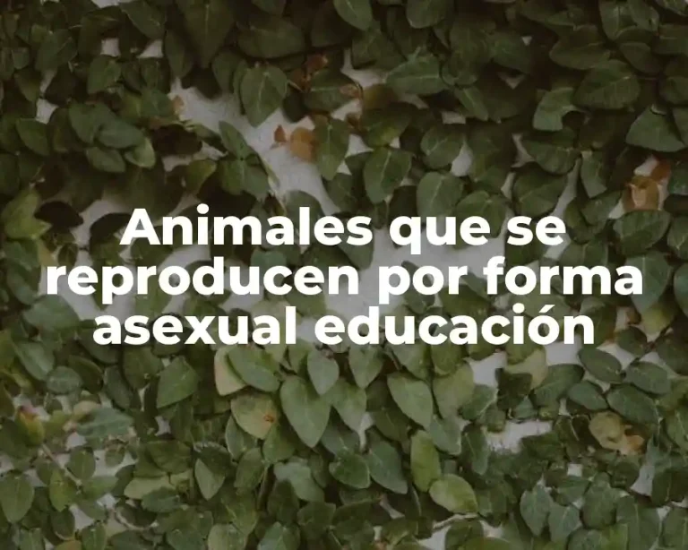 Animales que se reproducen por forma asexual educación