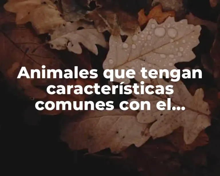 Animales que tengan características comunes con el humano