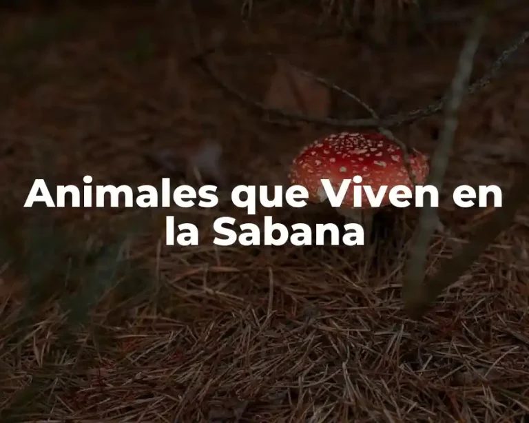 Animales que Viven en la Sabana