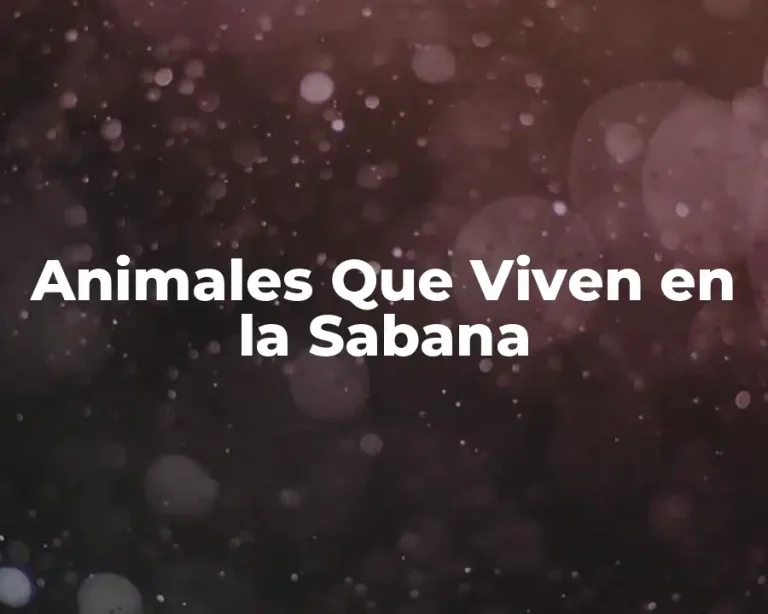 Animales Que Viven en la Sabana