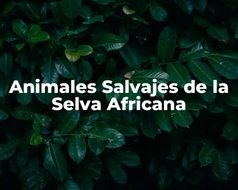 Animales Salvajes de la Selva Africana