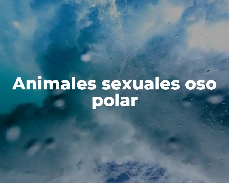 Animales sexuales oso polar
