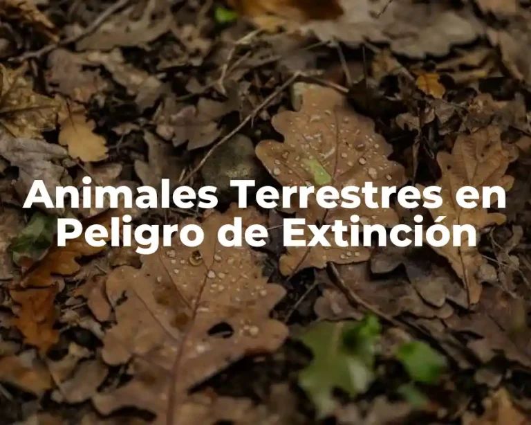 Animales Terrestres en Peligro de Extinción