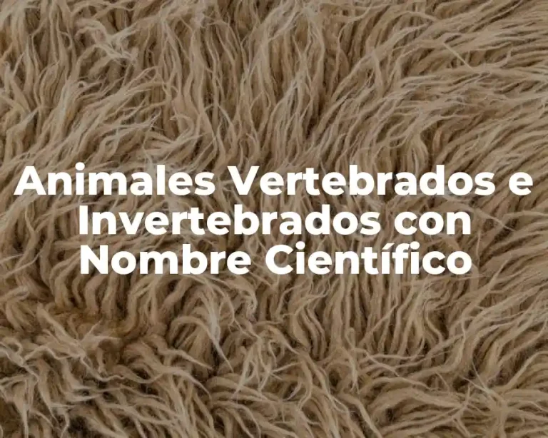 Animales Vertebrados e Invertebrados con Nombre Científico